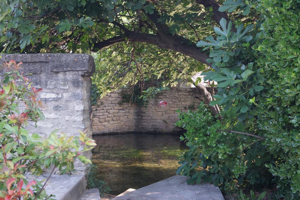 Colombe Leilighet LʼIsle-sur-la-Sorgue Eksteriør bilde